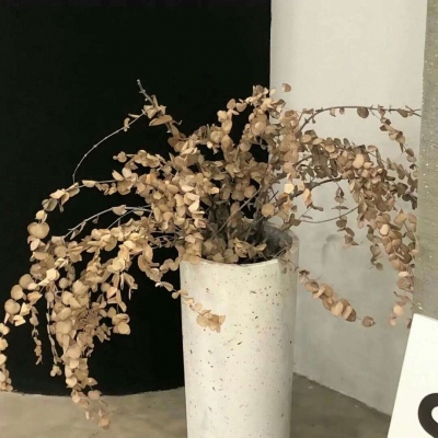 Furry插画色彩搭配福瑞交流群